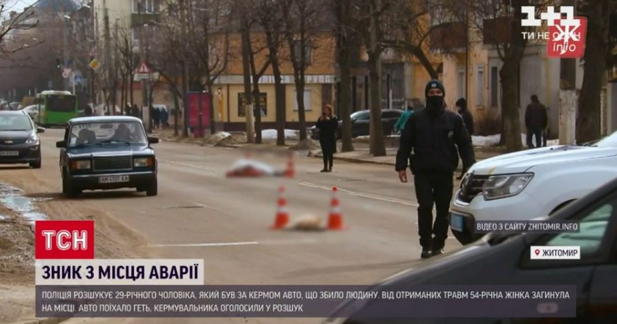 В Житомире водитель на переходе насмерть сбил женщину с двумя собаками и убежал без остановки
