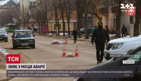 В Житомире водитель на переходе насмерть сбил женщину с двумя собаками и убежал без остановки