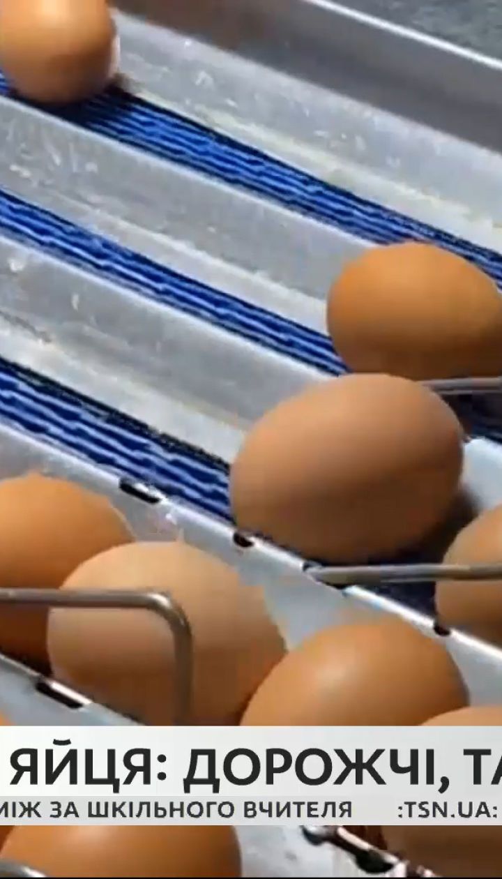 Купити яйця і не отруїтися: як ціна впливає на якість продукту