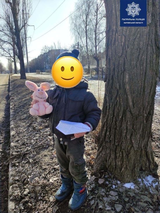 Додав сивини: у Харкові 4-річний онук втік від бабусі під час прогулянки