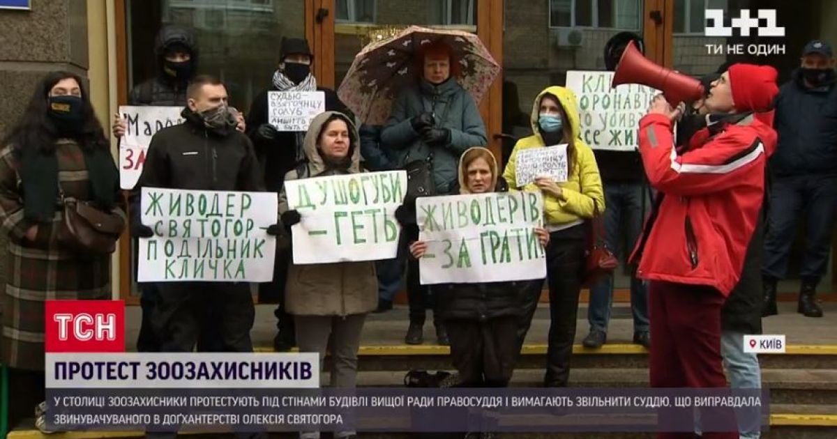 Вищу раду правосуддя пікетували зоозахисники з вимогою звільнити суддю, яка виправдала шкуродера