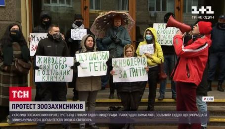 Вищу раду правосуддя пікетували зоозахисники з вимогою звільнити суддю, яка виправдала шкуродера
