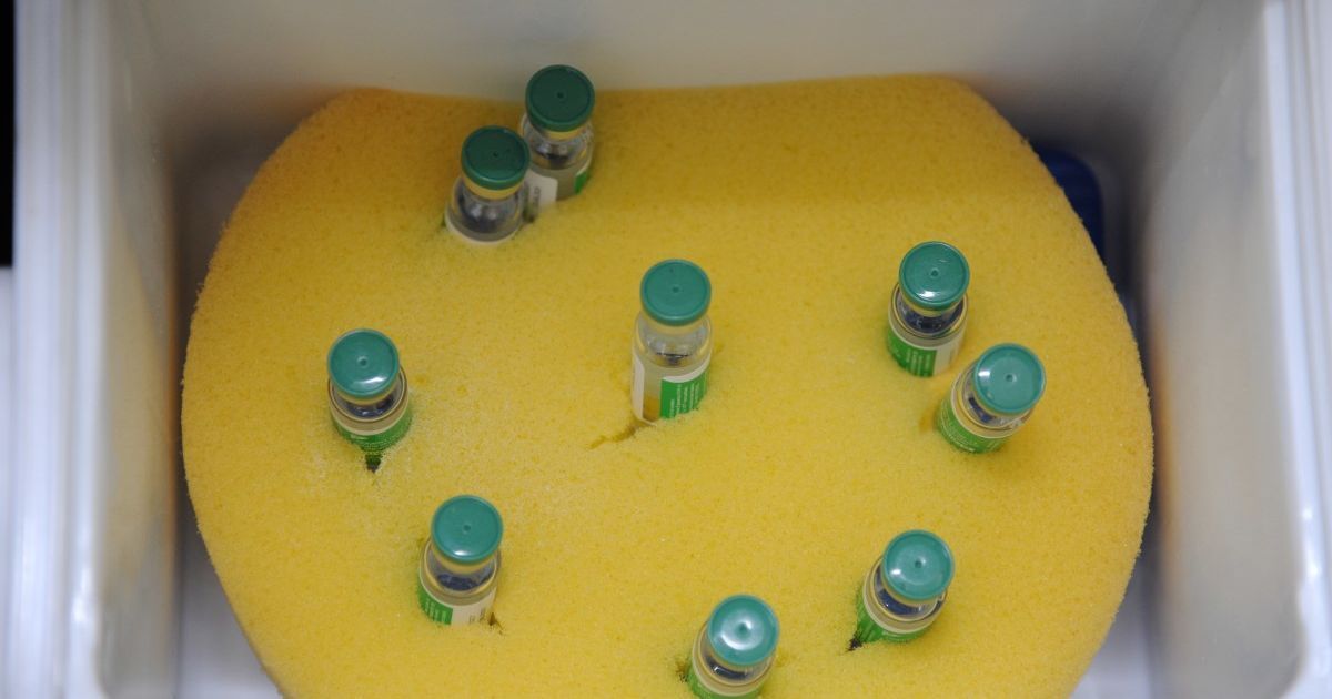 Степанов розповів, скільки доз вакцини від коронавірусу довелося утилізувати