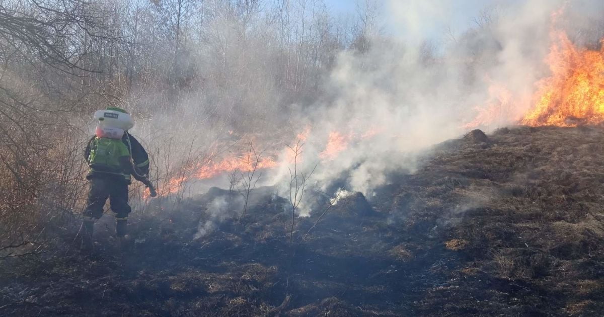 У Рівненській області чоловік палив сухостій і загинув