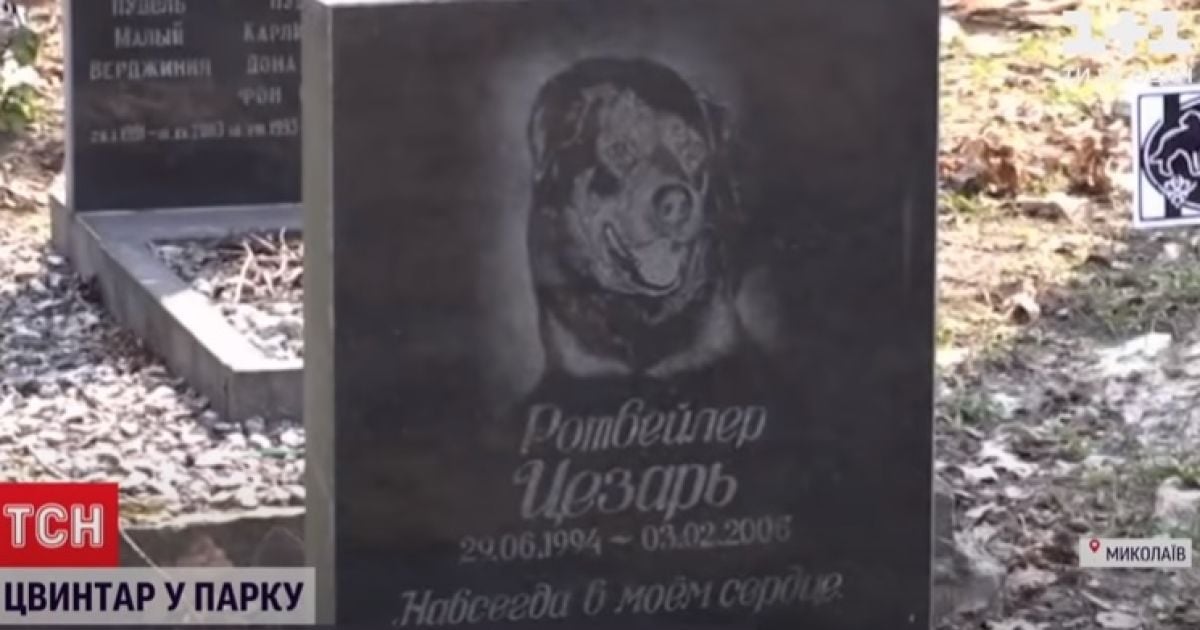 В Миколаєві міський парк перетворився на цвинтар для тварин - Ексклюзив ТСН - TCH.ua