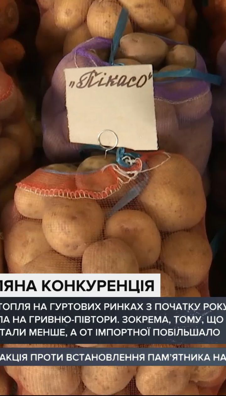 Чи можна зекономити, купуючи картоплю в роздріб на базарах та у супермаркетах