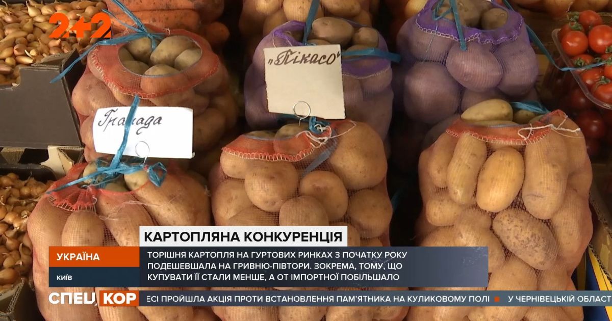 В Україні подешевшала картопля: що впливає на цінопад