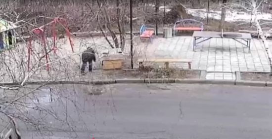 Конають у страшних муках: з'явилося відео, як жінка труїть безпритульних собак у Слов'янську (відео)