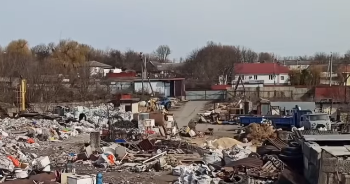 Бігають свині та лежать трупи тварин: під Києвом виявили сміттєзвалище площею один гектар (відео)