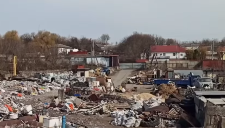 Бігають свині та лежать трупи тварин: під Києвом виявили сміттєзвалище площею один гектар (відео)
