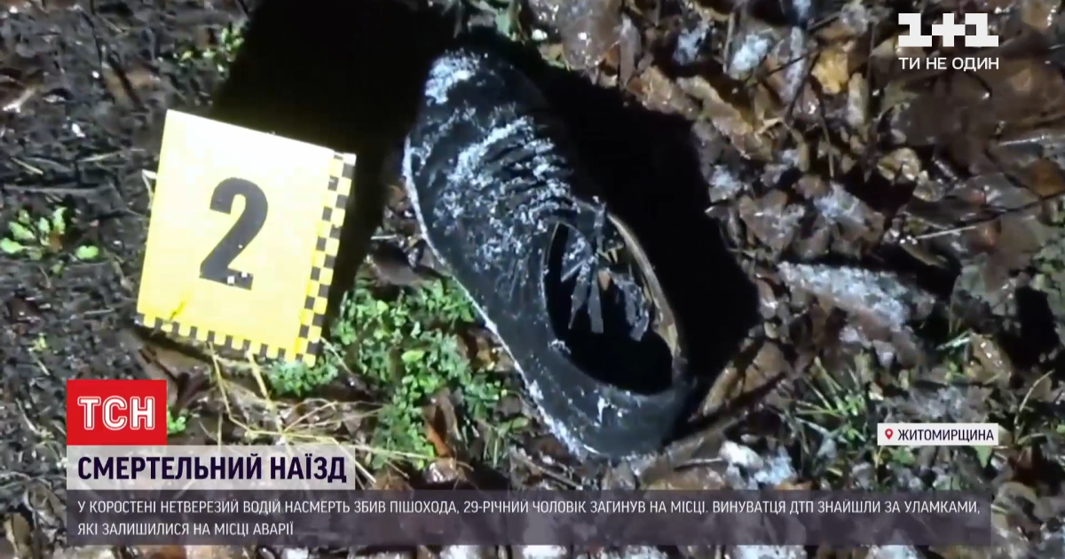 Збив і залишив помирати: у Житомирській області п'яний водій думав, що не розминувся зі стовпом