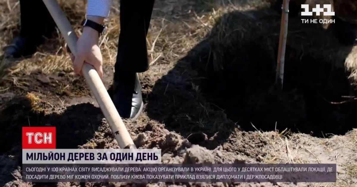 Мільйон дерев за один день: у 100 країнах світу висаджували рослини