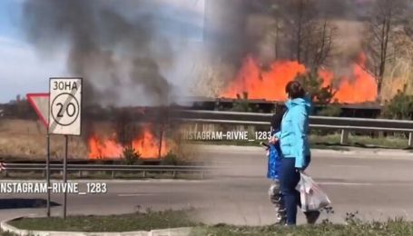 На Рівненщині невідомі підпалили сухостій поруч з АЗС