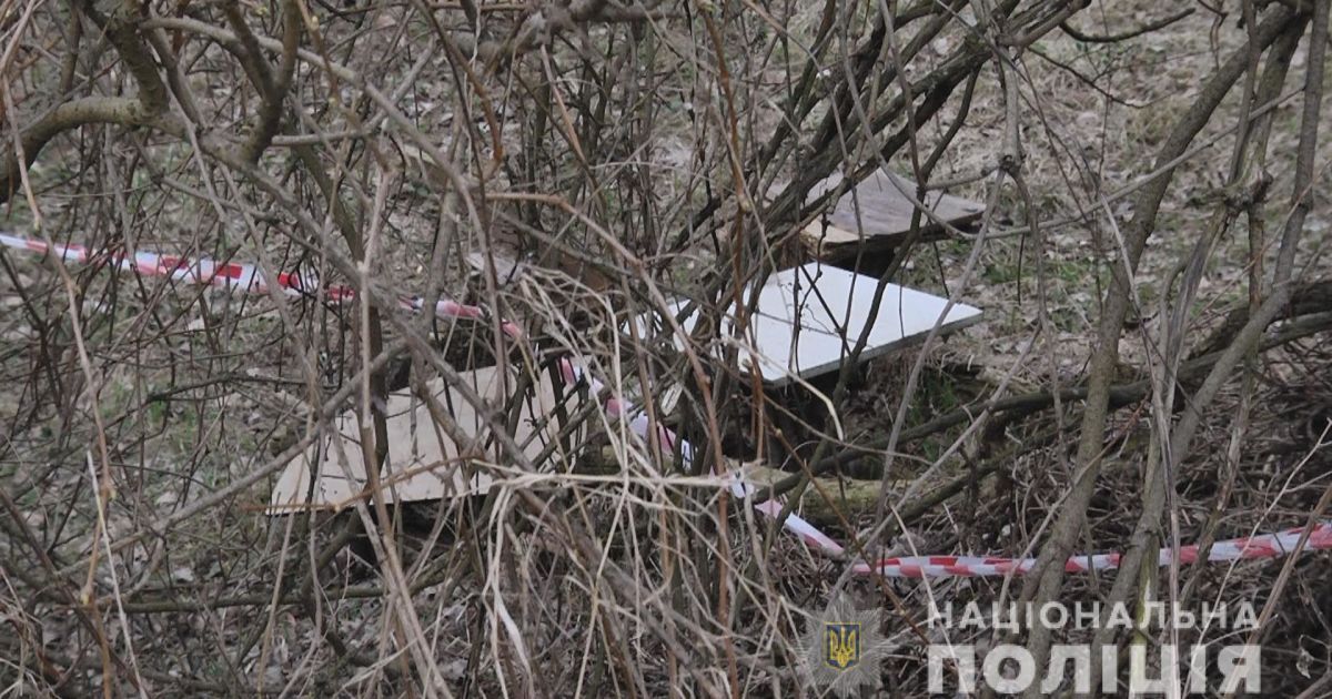Разбросанные кости в парке во Львове принадлежат пропавшей женщине: подозреваемого в убийстве задержали