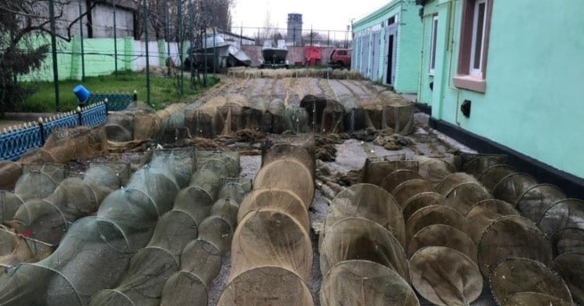 Креветки та червонокнижні краби: під Херсоном випустили на волю незаконний улов на 2 млн гривень