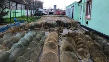 Креветки та червонокнижні краби: під Херсоном випустили на волю незаконний улов на 2 млн гривень