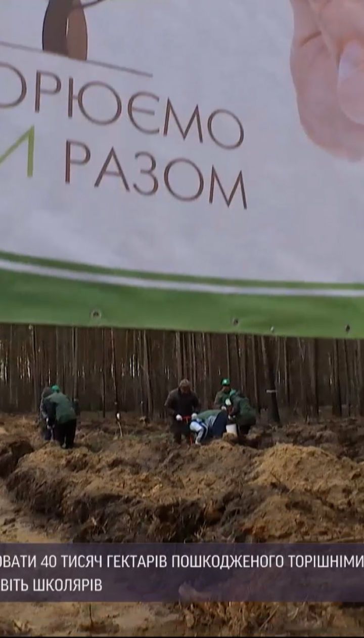 Новини України: в Житомирській області відновлюють 40 тисяч гектарів ушкодженого лісу