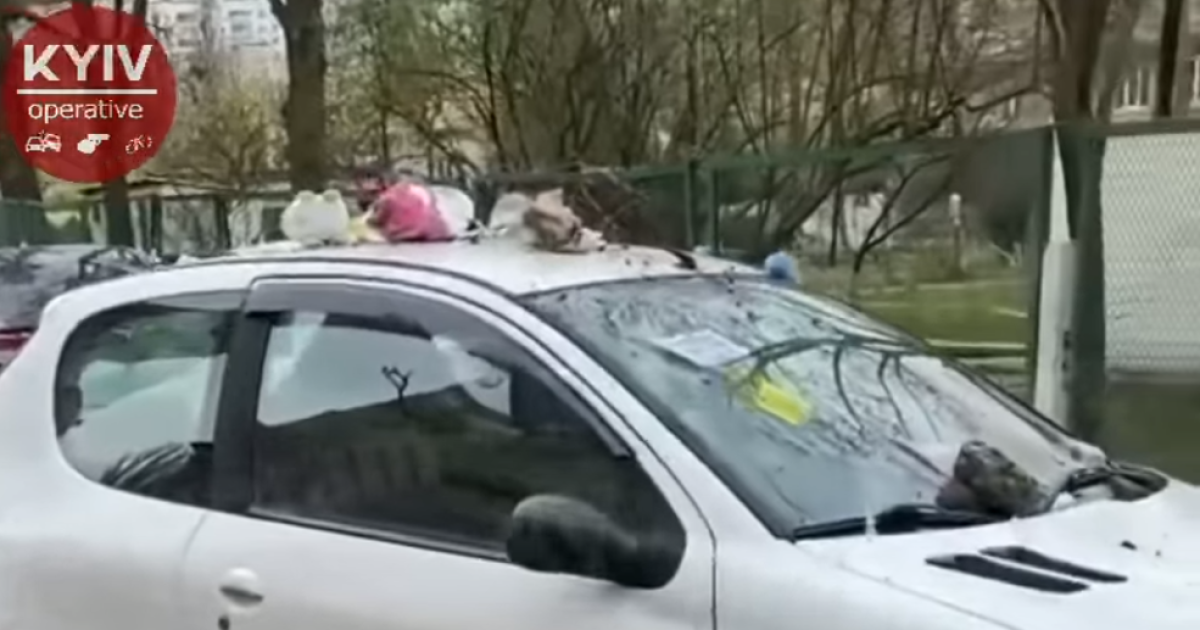 Розбили лобове скло та висипали на машину сміття: у Києві покарали автовласника, який перекрив дорогу (відео)