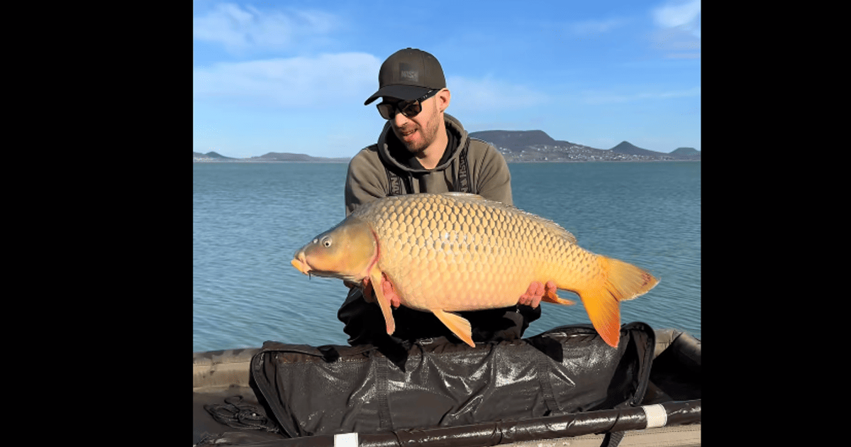 Короп-рекордсмен