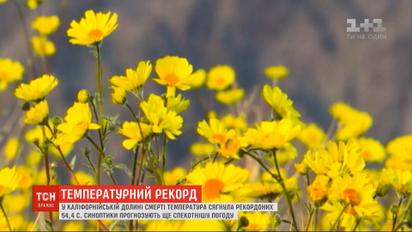 Температурний рекорд: у Долині Смерті температура сягнула майже 54,5 градуси тепла