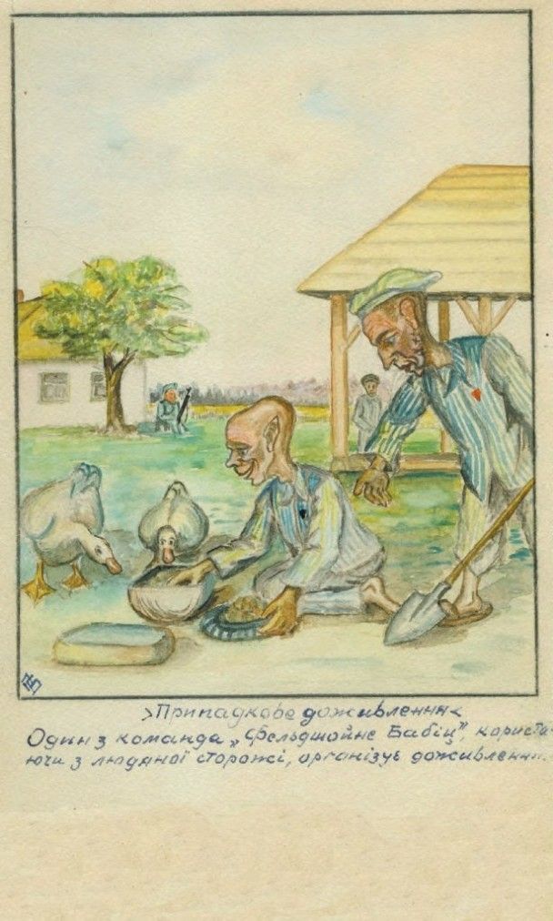  / © Паладій Осинка