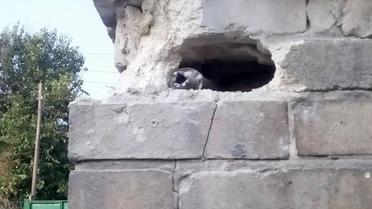 Через обстріл бойовиків було пошкоджено шість будинків мирних мешканців Мар&#039;їнки / © Facebook/прес-центр штабу АТО
