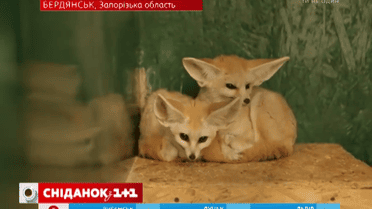 Мой путеводитель. Бердянск