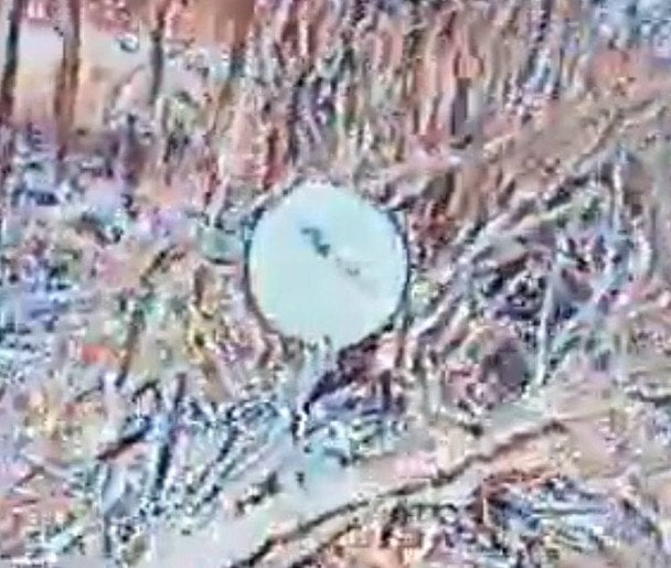 Все антенны данных терминалов выглядят как спутниковая тарелка для телевидения.