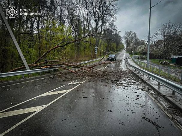 Негода в Україні забрала життя двох людей, понад 1100 міст і сіл без світла (фото)
