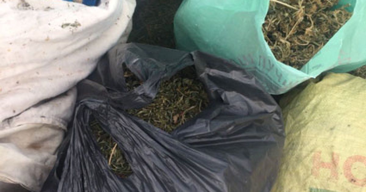 конопелька на чернігівщині_3 / © УМВД в Черниговской области