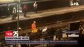 У лондонському метро рятували лебедя, який паралізував рух потягів | Новини світу