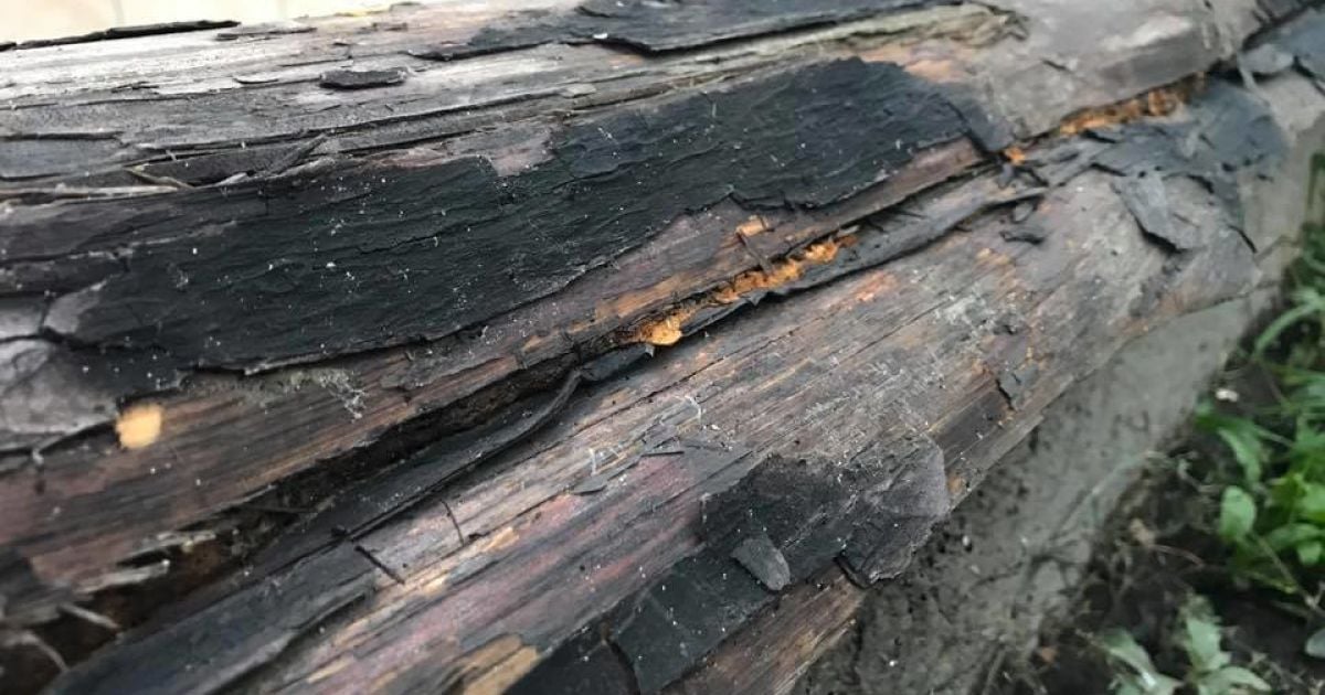 Руслана,блискавка,будинок_2 / © Руслана Лижичко /Facebook