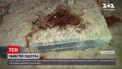Новини України: 15-річна дівчина зізналась у вбивстві на рік молодшого підлітка