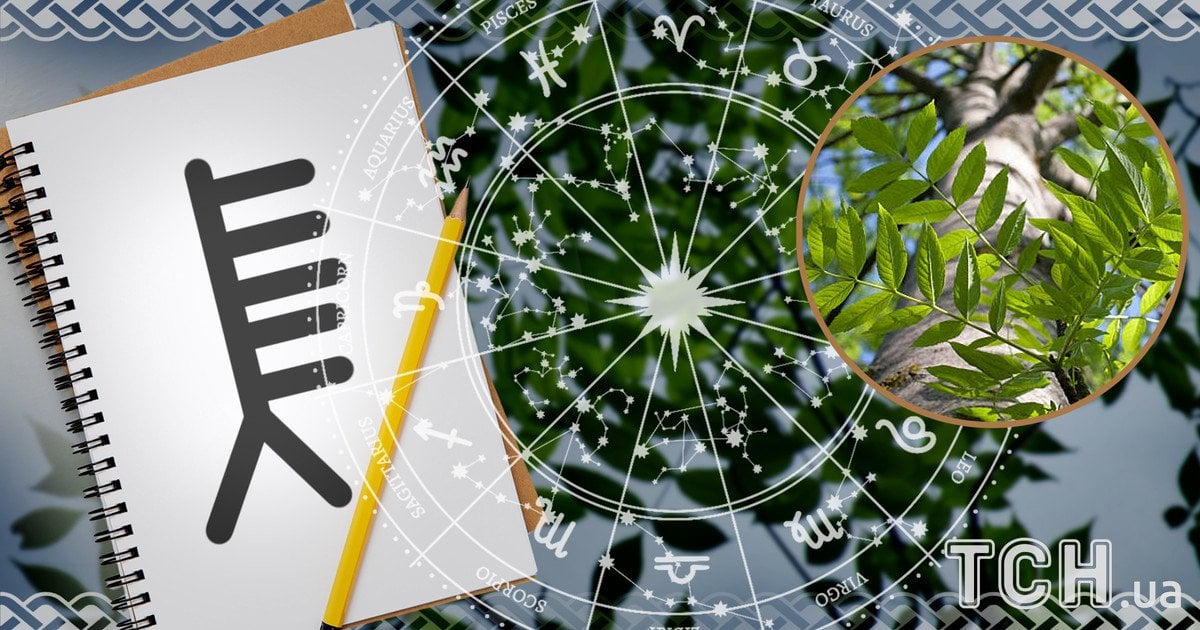 Кельтський гороскоп дерев