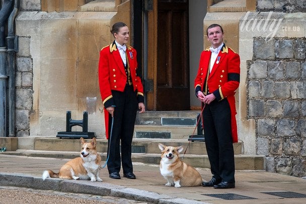 Коргі Мік та Сенді / © Associated Press