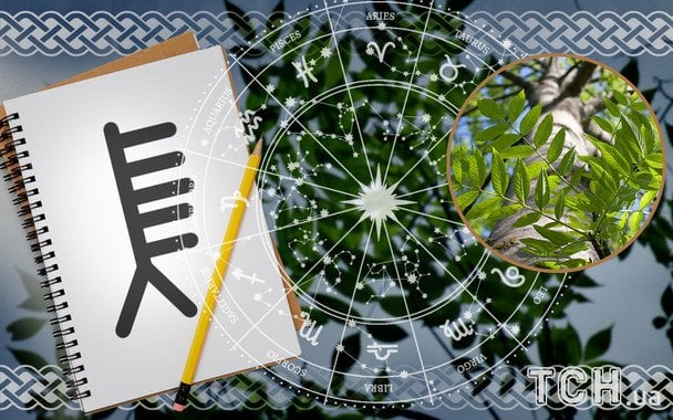 Кельтский гороскоп деревьев на 16 августа 2025 г.: Скорпионам — глубина, Стрельцам — обновленное движение
