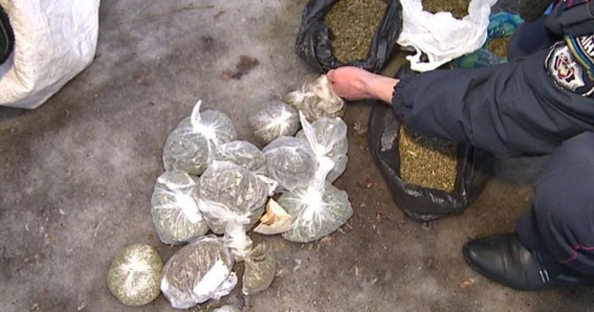 На Сумщині службовий пес допоміг знайти прикордонникам 6 кг марихуани