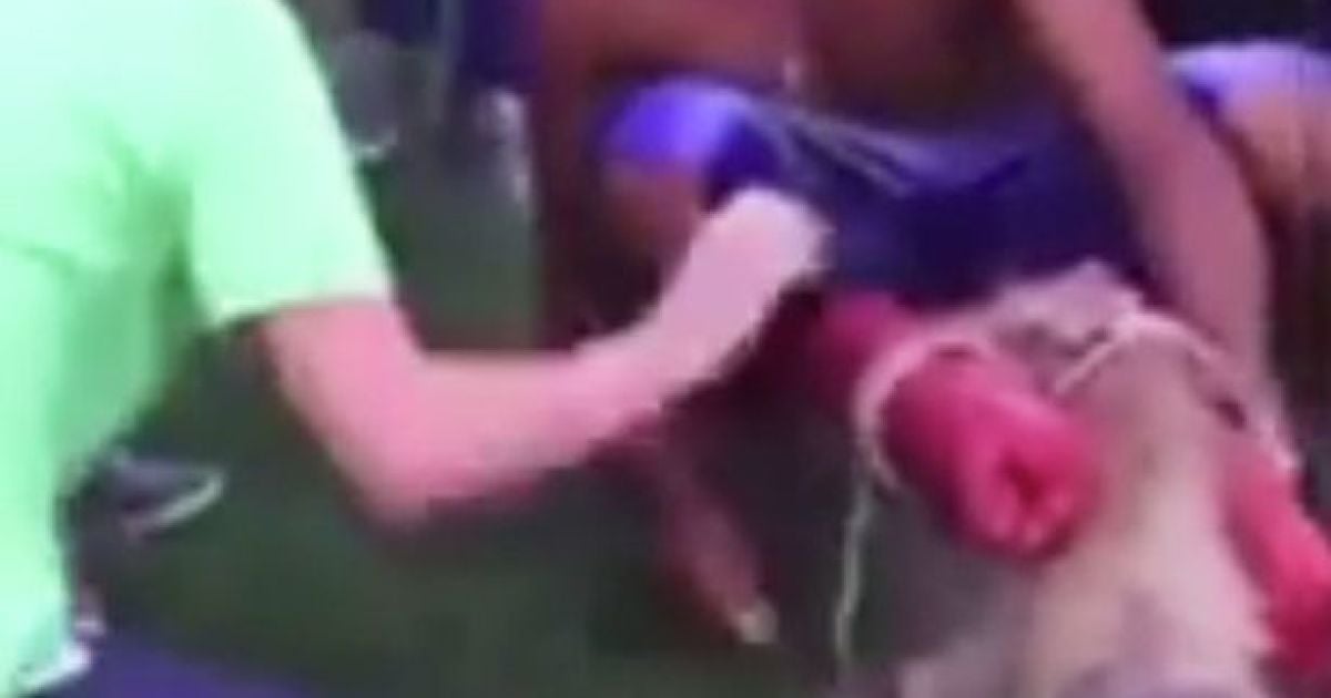 Садисты откровенно радовались убийству будущем