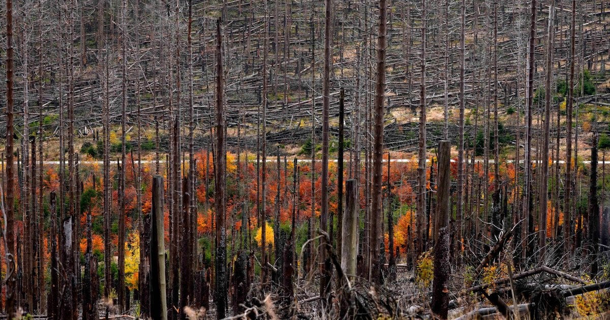 Гороскоп на 20 листопада