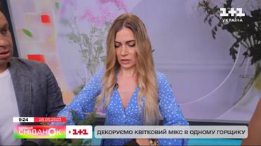 Как сделать декоративную композицию из разных цветов в одном горшке - Екатерина Черноус