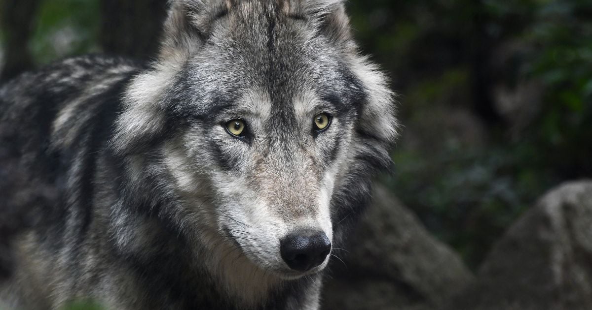 5 вересня: цікаві звичаї, обряди та народний прогностик