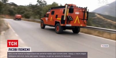 Новости мира: из-за лесных пожаров на юге Испании уже выгорели почти 8 000 гектаров земли