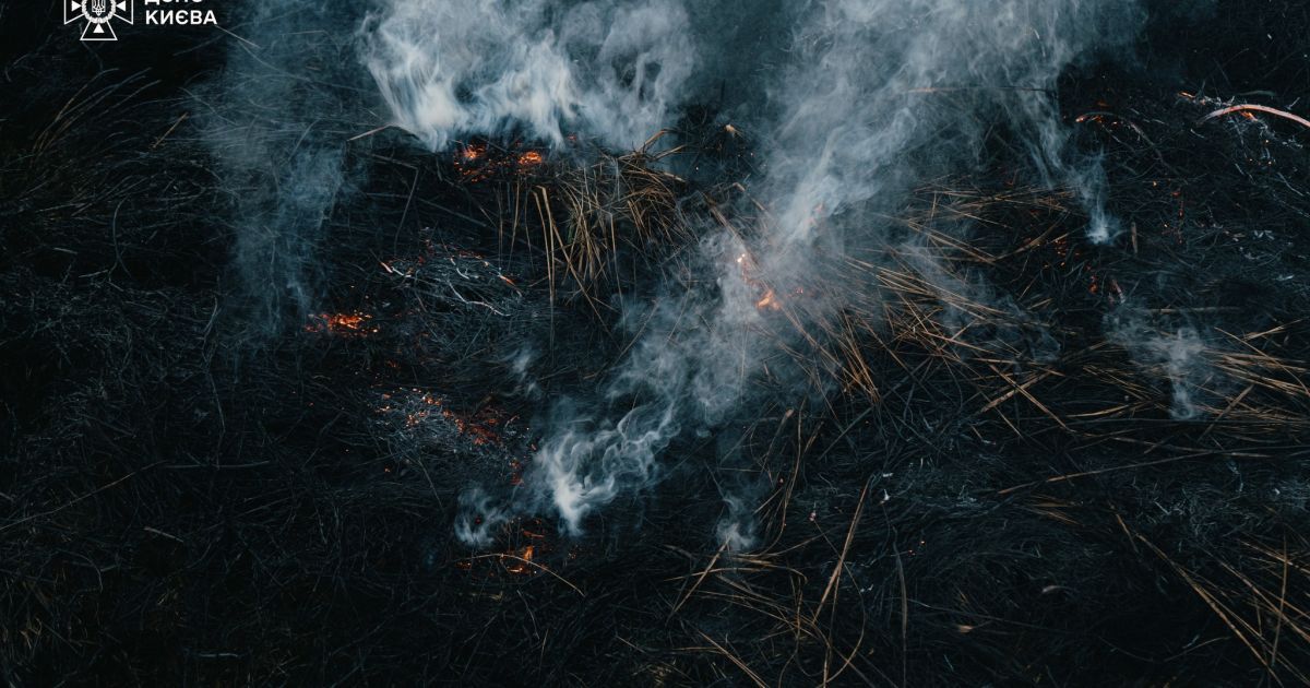 У Києві на Троєщині рятувальники ліквідували пожежу в екосистемах