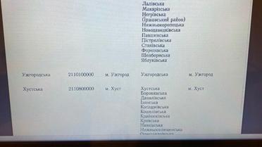 об'єднання громад в Закарпатті_8 / © Telegram/Олексій Гончаренко