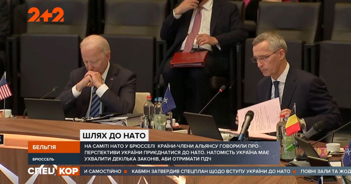 Какие у Украины есть перспективы присоединения к НАТО