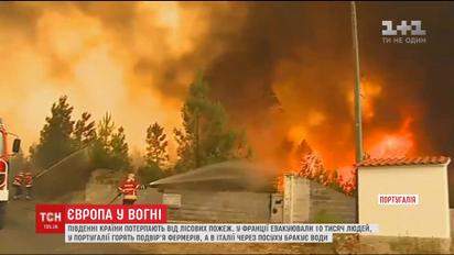 Південна Європа потерпає від лісових пожеж