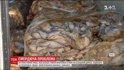 С душком: на окраине Киева нашли фуру с 20 тоннами гнилой рыбы