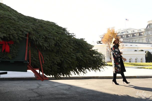 Мелания Трамп / © Associated Press