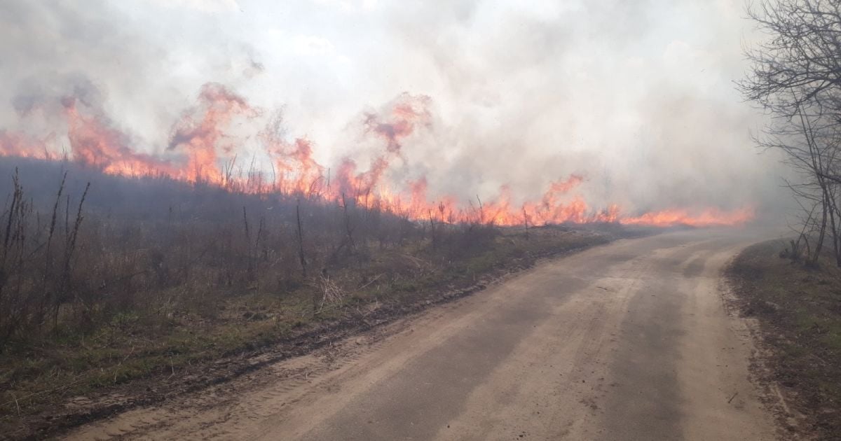 Україна — у вогні: рятувальники Сумщини і Київщини гасили сухостій