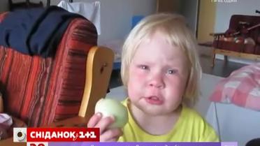 Подборка смешного видео из интернета